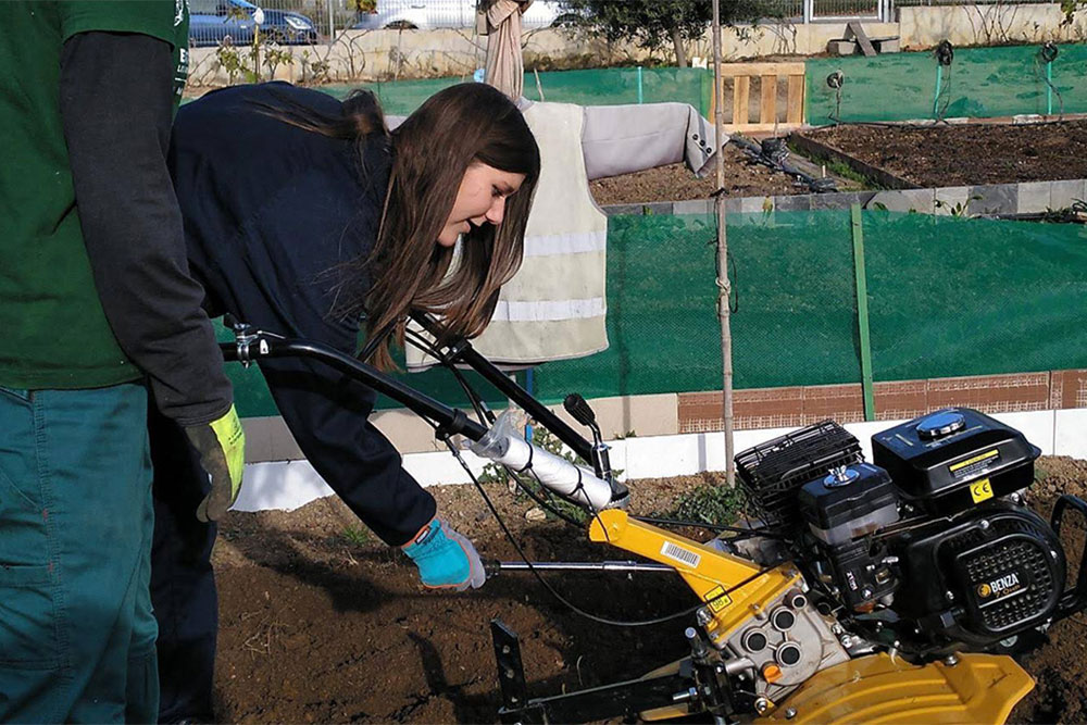 Institut Pla Marcell - Cardedeu