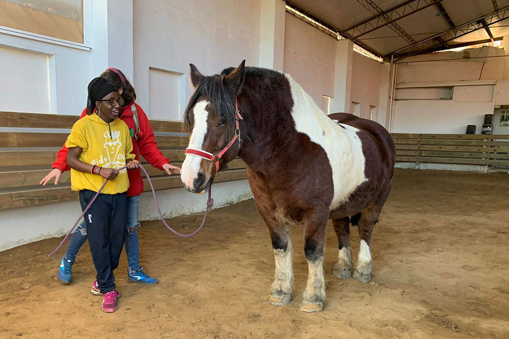 Institut Pla Marcell - Cardedeu